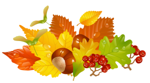 transparent_fall_leaves_and_chestnuts_picture