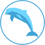 logo_delfini